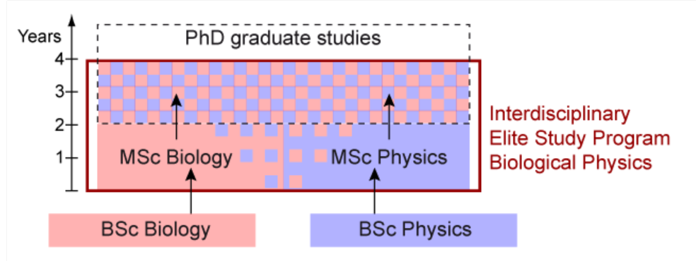 Study Plan